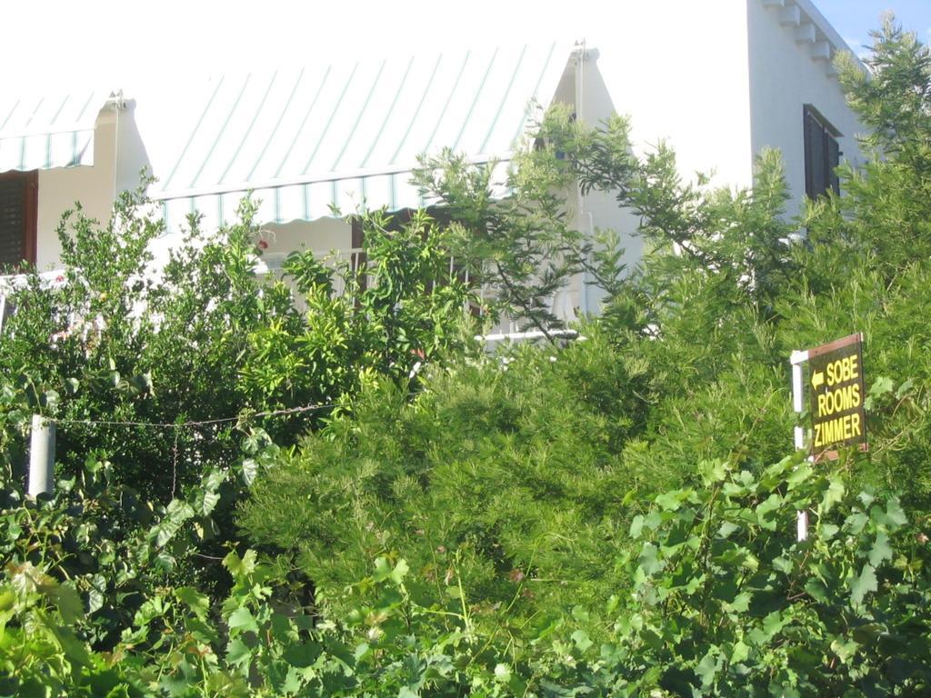 Guest House Kola Slano Zewnętrze zdjęcie